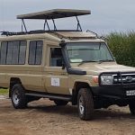 Lake manyara safari vehicles view point