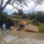 picnic lunch safaris