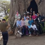 photo shooiting baobao tree