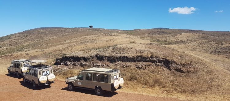 photo shooting safari vehicle