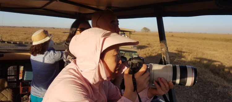 game drive safaris