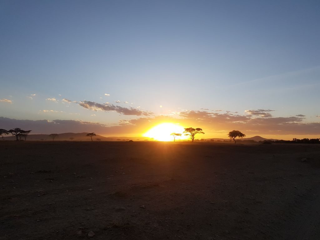 serengeti sun set