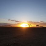 serengeti sun set