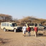 photo shooting safari vehicle