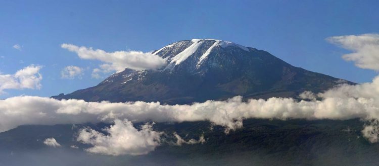 kilimanjaro view