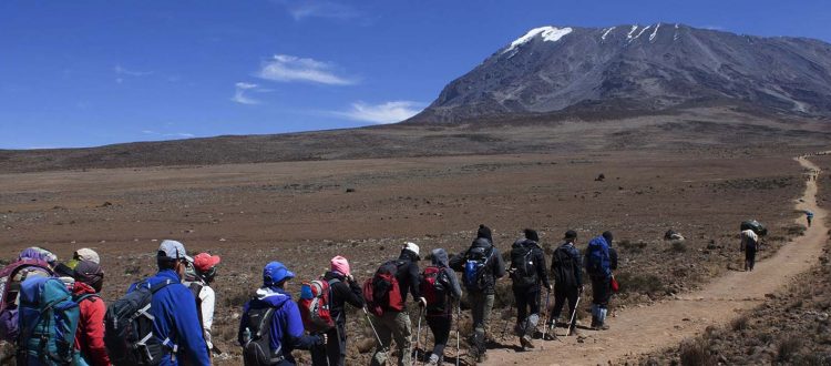 trekking kilimanjaro