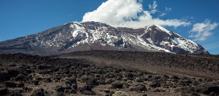 Mount kilimanjaro