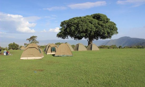 simba-campsite