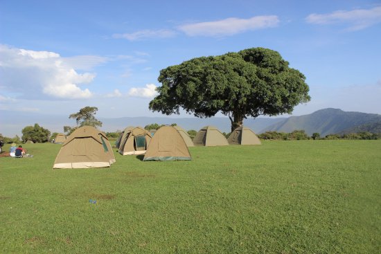 simba-campsite